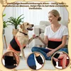 Rotlicht-Therapiematte, 120 LEDs, 850+660+850 nm, für Hunde & Katzen Productafbeelding-voorbeeld