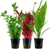Pflanzen Set mit 3 Hintergrund Topf Aquarium Wasserpflanzen Produktbild-Vorschau 1