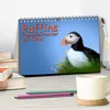 Puffins - Papageientaucher auf Island (Tischkalender 2027 Produktbild-Vorschau 3