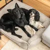 4L Textil HUGO Orthopädisches Hundebett aus Cord Produktbild-Vorschau 9