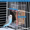 Automatické kŕmidlo do klietky pre papagáje a andulky Náhľad obrázku produktu 4