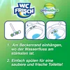 WC Frisch Kraft-Aktiv Pro Nature Minze WC-Reiniger 1 Stück Produktbild-Vorschau 13