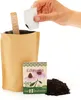 Die Stadtgärtner Minigarten Echinacea | Komplettes Produktbild-Vorschau 2