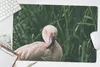 MuchoWow® Schreibtischunterlage Ein Flamingo steht zwischen Produktbild-Vorschau 5