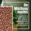 Blähton für Pflanzen 20L 8-16 mm Granulat Pflanzen Produktbild-Vorschau 5