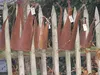 Rostikal Couronne de décoration de jardin en métal rouillé Voir les images du produit 2