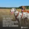 PetsNature 500ml Lachsöl Náhľad obrázku produktu 4