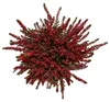 Calluna vulgaris – 6er-Set – Besenheide – Heidekraut – Produktbild-Vorschau 3
