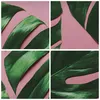 Bild auf Leinwand - Leinwandbild - Einteilig - Monstera Produktbild-Vorschau 8