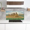 Coloray Küchenrückwand 120x60 Spritzschutz aus Glas - Produktbild-Vorschau 3