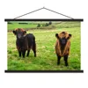 MuchoWow® Textilposter Schottische Highlander - Gras - Kühe Produktbild-Vorschau 1