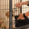 A person's hands are shown opening the gate of a metal dog enclosure where two puppies are inside. Podgląd zdjęcia produktu