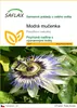 SAFLAX - Modrá mučenka - Passiflora caerulea - 25 Semena Náhled obrázku produktu 1