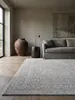 Teppich Grau rechteckig im modernen Wohnzimmer_#sku_SAF65819-SAF65820-SAF65821# Produktbild-Vorschau