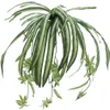 EUROPALMS Giglio verde, artificiale, 60 cm Anteprima dell’immagine prodotto 1
