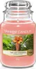 Yankee Candle The Last Paradise Duftkerze 623 g Produktbild-Vorschau 1