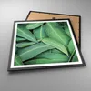 Gerahmtes Poster - Schwarzer Rahmen - Blätter Eukalyptus Produktbild-Vorschau 3