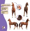 schleich HORSE CLUB 14897, 5 rok/roky, Horses, Vícebarevný Náhled obrázku produktu 6