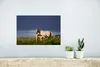 MuchoWow® Poster Pferde - Gras - Fohlen 30x20 cm - Plakate Produktbild-Vorschau 5