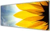Acrylglasbilder 125x50 Wandbild Druck Blütenblätter Produktbild-Vorschau 1