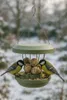 Vogel-Futtersilo Zurich lorbeergrün SMART BIRDS Produktbild-Vorschau 5