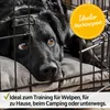 Hunde Transportbox Hundekäfig M zooprinz | Faltbar & Produktbild-Vorschau 3
