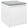 A white storage box with a gray cushion on top, shown from the front. Anteprima dell’immagine prodotto