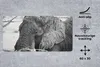 MuchoWow® Mauspad Mousepad Elefant - Tiere - Äste - Natur - Produktbild-Vorschau 2