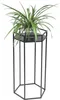 A black hexagonal plant stand with a spider plant in a glass pot on top. Produktbild-Vorschau