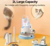 Haustierpflege Neakasa P2 Pro 5-in-1 Grooming Kit Pet Dryer Produktbild-Vorschau 27