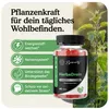 Asbirg Schwarzkümmelöl + OPC + Herbal Gummies Bundle – Produktbild-Vorschau 6