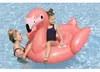Bestway 41525, Ružová, plávacie koleso, Jednofarebné, PVC, Náhľad obrázku produktu 15