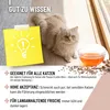 REAVET Darmöl für Katzen 50ml I Verdauung, Darmflora I Produktbild-Vorschau 6