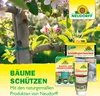 Neudorff KirschmadenFalle 7 Stück Produktbild-Vorschau 7