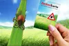 RNK Zeckenkarte "Safecard" mit Lupe, 85 x 54 mm Produktbild-Vorschau 3