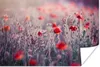 MuchoWow® Poster Rote Mohnblumen im Feld 30x20 cm - Plakate Produktbild-Vorschau 1