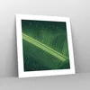 Poster - Poster ohne Rahmen - Makro Blatt Tropfen - 40x40 Produktbild-Vorschau 7