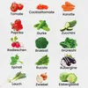 Green Harvest Gemüsesamen Set, 15 Sorten, Saatgut für Produktbild-Vorschau 2
