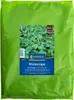 Kiepenkerl Gründüngung Winterraps Brassica napus 1 kg Produktbild-Vorschau 5