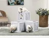Three cat cubes are stacked and arranged on a rug, with three cats interacting with them. A basket of greenery is to the right, and a chair is to the left. Podgląd zdjęcia produktu