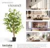 Umělý fíkus Fida, realistická textura - 120 cm Náhled obrázku produktu 8
