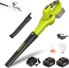 DEWINNER Souffleur de Feuilles sans Fil, 2 Batteries 4.0Ah, Voir les images du produit 1