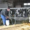 Drencher des vaches Voir les images du produit 3