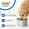 Vulpes Goods Ecuelle d'eau pour chiens, 3L anti-fuite Voir les images du produit 9