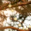 A string of solar-powered LED light bulbs hanging from a tree branch. Anteprima dell’immagine prodotto