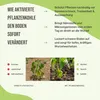 Pflanzenkohle für Garten & Hochbeet - 5L | EBC-e Körnung Produktbild-Vorschau 5