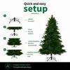 Czarna choinka "Trees Brampton" - choinka świąteczna - Podgląd zdjęcia produktu 6
