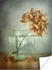 MuchoWow® Poster Blumen - Trockenblumen - Hortensie 30x40 Produktbild-Vorschau 1