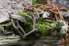 vitaliano rostige Stahlkette Gliederkette Meterware, 1 Produktbild-Vorschau 5