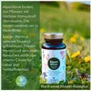 AlpenBitter Kapseln mit Enzian, Wermut, Löwenzahn, Produktbild-Vorschau 9